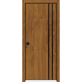 porte-composite-strasbourg-modele-2-e-154-chene-dore-vue-exterieure-poussant-gauche-a2t-distributions