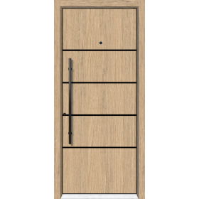 Porte-Belfort-composite-cp523-e-155