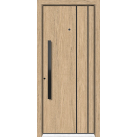 Porte-vesoul-cp528-e158-vue exterieure