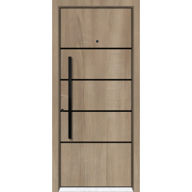 Porte-blindee-Redon-W565-F126