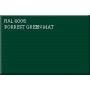 ral-6005-vert-foret-mat