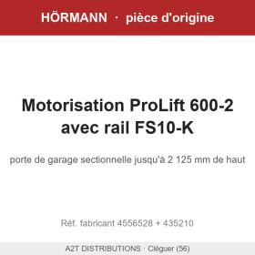 Motorisation Hörmann ProLift 600-2 avec rail FS10-K