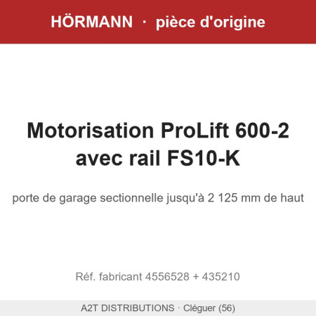 Motorisation Hörmann ProLift 600-2 avec rail FS10-K | Hörmann A2T